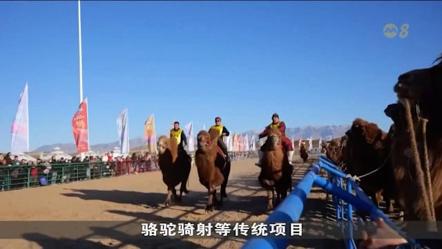 篮球湖人球员赛季关键数据统计（湖人队球员本赛季关键数据一览）