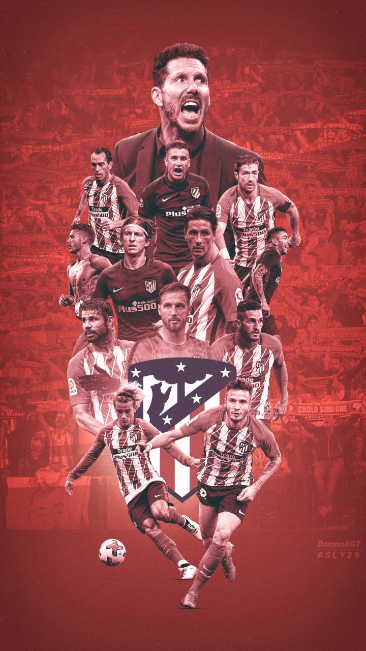 掘金约基奇豪取三双助球队连胜（约基奇轰三双领衔，掘金延续连胜）